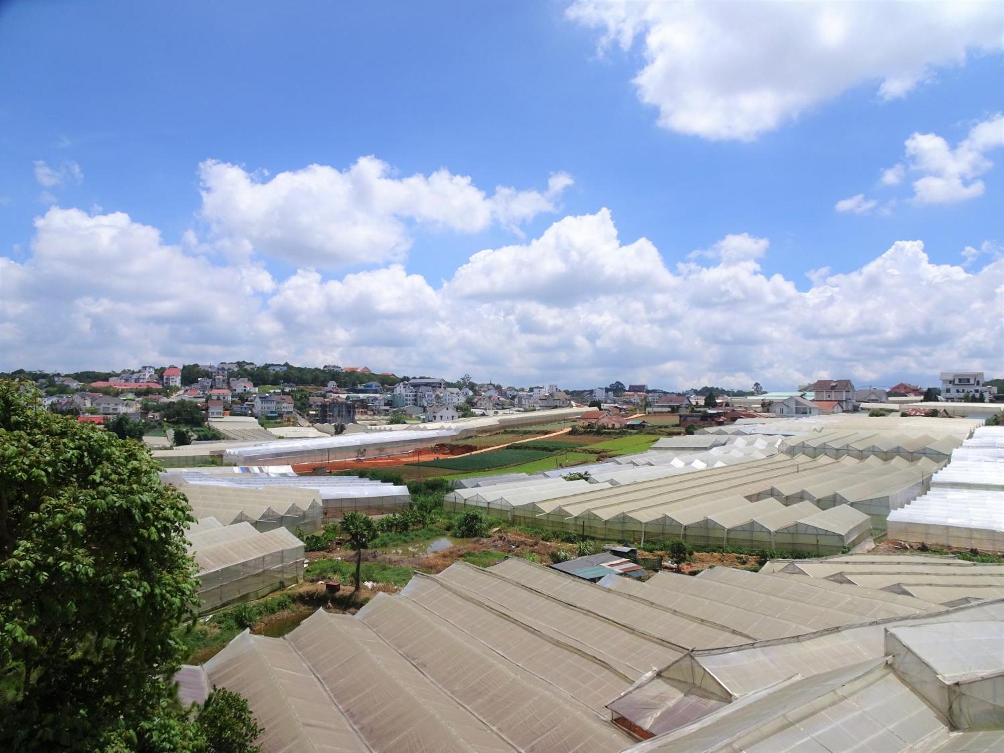 Mento Villa Da Lat Buitenkant foto